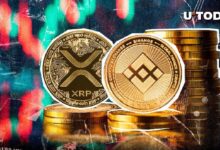 La Comunidad XRP Espera el Cambio de Liderazgo con Binance Coin (BNB): ¿Listo para lo Inesperado? - Cripto Boom