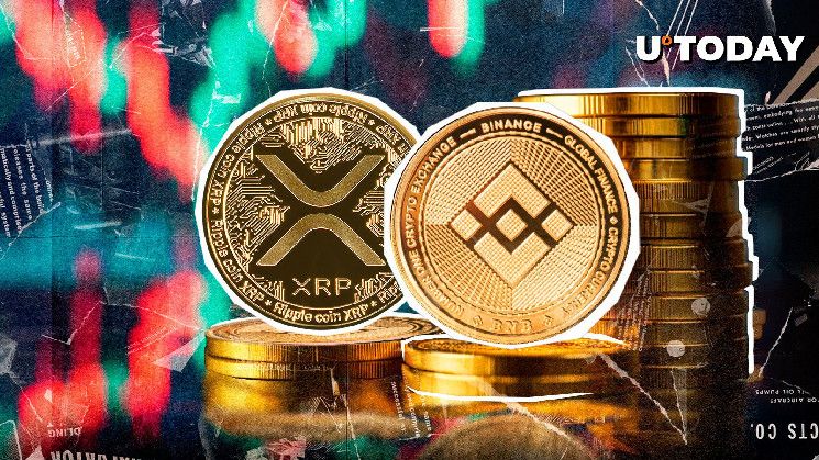 La Comunidad XRP Espera el Cambio de Liderazgo con Binance Coin (BNB): ¿Listo para lo Inesperado? - Cripto Boom