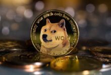 Dogecoin Aumenta a Máximo de Cinco Meses por Onda Electoral en EE.UU. - ¡Descubre el Impacto! - Cripto Boom