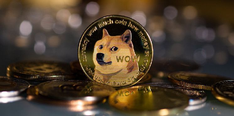 Dogecoin Aumenta a Máximo de Cinco Meses por Onda Electoral en EE.UU. - ¡Descubre el Impacto! - Cripto Boom