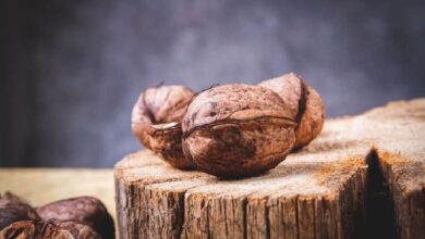 ¡Más de $1 mil millones de inversión en Pnut en un día! ¿Deberías unirte ahora? - Cripto Boom