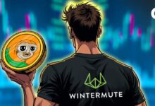 El Papel Oculto de Wintermute en la Acción de Precio de SLERF: Descubre Más - Cripto Boom