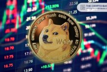 ¡Es el Momento de que Dogecoin Suba a $3, Según un Experto! - Cripto Boom