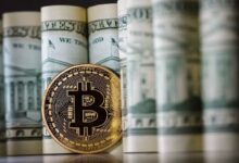 ¿Cuánto Aumentará el Precio de Bitcoin en Noviembre? Descubre las Probabilidades Según las Proyecciones - Cripto Boom