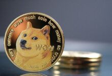 Auge de Dogecoin en Noviembre: Crecimiento del Hashrate y Aumento de Búsquedas - Descubre Más - Cripto Boom