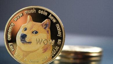 Auge de Dogecoin en Noviembre: Crecimiento del Hashrate y Aumento de Búsquedas - Descubre Más - Cripto Boom