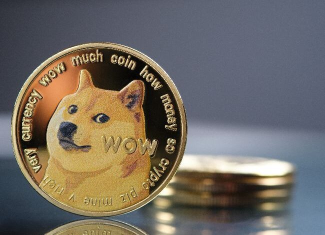 Auge de Dogecoin en Noviembre: Crecimiento del Hashrate y Aumento de Búsquedas - Descubre Más - Cripto Boom