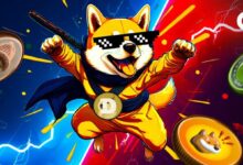 La Gran Batalla Cripto: Dogecoin vs. la Alianza Bonk-WIF-Pepe - Descubre Quién Saldrá Victorioso - Cripto Boom