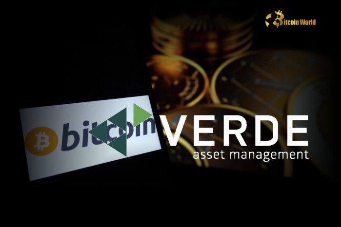 Fondo de Cobertura Brasileño Verde Asset Management Compra Bitcoin Antes de las Elecciones en EE.UU.: Descubre Por Qué Ahora - Cripto Boom