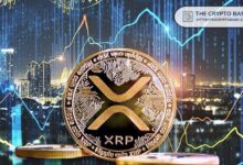 Expertos Afirman que XRP Te Frustrará con su Acción de Precio, pero ¡Superará su Máximo Histórico en Semanas! - Cripto Boom