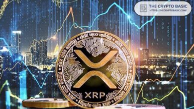 Expertos Afirman que XRP Te Frustrará con su Acción de Precio, pero ¡Superará su Máximo Histórico en Semanas! - Cripto Boom