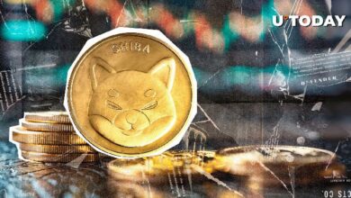 Solo quedan 470 mil millones de Shiba Inu (SHIB): ¡Descubre qué viene a continuación! - Cripto Boom