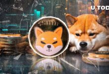 Emocionante Descubrimiento: Equipo de Shiba Inu Revela el Primer Logo de SHIB con Perro Histórico - ¡Descúbrelo Ahora! - Cripto Boom