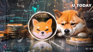 Emocionante Descubrimiento: Equipo de Shiba Inu Revela el Primer Logo de SHIB con Perro Histórico - ¡Descúbrelo Ahora! - Cripto Boom