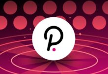 Polkadot Mantiene Nivel Clave de Demanda: ¡Descubre Cómo DOT Podría Alcanzar $11 en las Próximas Semanas! - Cripto Boom