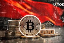 Los Flujos de ETF de Bitcoin Son una 'Gran Señal de Alerta', Afirma Analista: Descubre Más - Cripto Boom