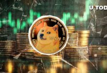 ¡La Actividad de las Ballenas Impulsa a Dogecoin (DOGE) un 957%! Descubre el Potencial de Esta Métrica Alcista Clave - Cripto Boom