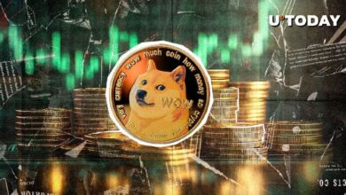 ¡La Actividad de las Ballenas Impulsa a Dogecoin (DOGE) un 957%! Descubre el Potencial de Esta Métrica Alcista Clave - Cripto Boom