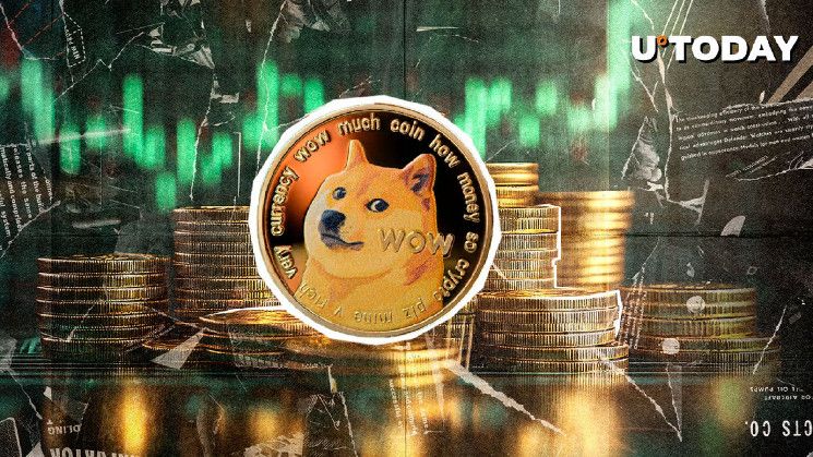 ¡La Actividad de las Ballenas Impulsa a Dogecoin (DOGE) un 957%! Descubre el Potencial de Esta Métrica Alcista Clave - Cripto Boom