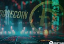 El Impulso Alcista de Dogecoin: ¿El Ciclo Psicológico del Mercado Señala $10? - Cripto Boom