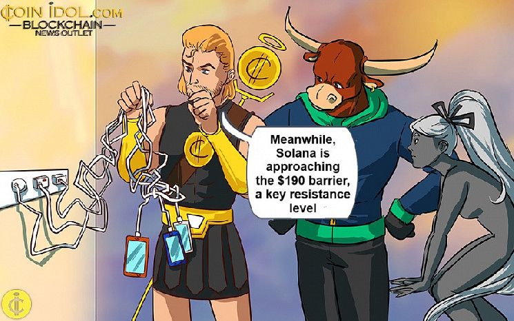 Solana Enfrenta un Desafío Crítico en su Camino Hacia el Pico de $210: Descubre Más - Cripto Boom