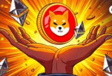 ¿Shiba Inu como Capa-2 de Ethereum? Analista Propone Integración de SHIB - Descubre Más - Cripto Boom