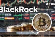 BlackRock Hace Historia: ¡Impulsa el Mercado de Bitcoin con $2.1 Mil Millones! - Cripto Boom