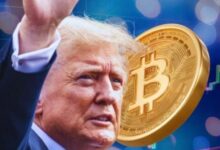 El Impacto de la Victoria de Trump: ¿Se Mantendrá el Momentum Positivo? - Cripto Boom