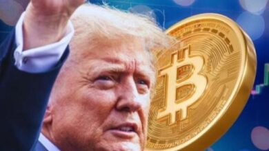 El Impacto de la Victoria de Trump: ¿Se Mantendrá el Momentum Positivo? - Cripto Boom