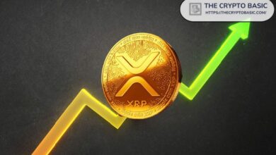 Experto Pronostica Cuándo XRP Subirá de $5 a $30: ¡Descúbrelo Aquí! - Cripto Boom