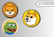 Experto Afirma que Pepe Superará a Dogecoin y Shiba Inu en Este Ciclo - Descubre Más - Cripto Boom