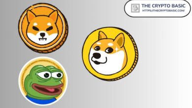 Experto Afirma que Pepe Superará a Dogecoin y Shiba Inu en Este Ciclo - Descubre Más - Cripto Boom