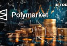 Polymarket en el Foco del Mundo Cripto Hoy, Descubre por Qué - Cripto Boom