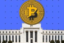 Will Peck de WisdomTree revela cómo las reservas de Bitcoin del gobierno pueden influir en futuros precios: Descúbrelo aquí - Cripto Boom