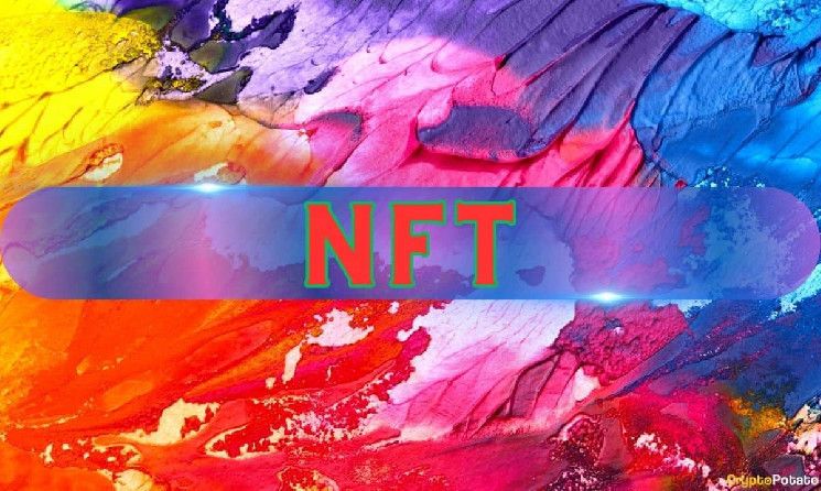 El Futuro de los NFTs: Una Transformación, No una Pérdida - Descubre el Cambio - Cripto Boom