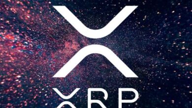 Rally del 25% en el Precio de XRP: Rompe Barreras y Supera Probabilidades ¡Descúbrelo Ahora! - Cripto Boom