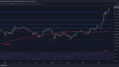 Análisis del Precio de Bitcoin: BTC Alcanza un Nuevo ATH, ¿$100K Próximo Hoy? ¡Descúbrelo Aquí! - Cripto Boom