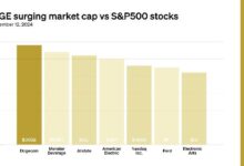 GRÁFICO: Capitalización de mercado de Dogecoin supera el 60% del S&P 500 - Descubre más! - Cripto Boom