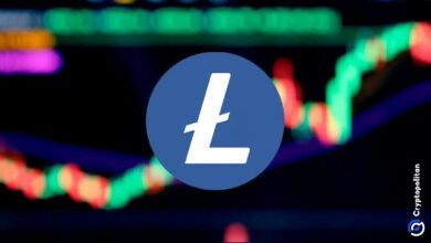 Más del 60% de los tenedores de LTC están en ganancias: ¡Máximo desde abril! Descubre cómo aprovechar esta tendencia. - Cripto Boom