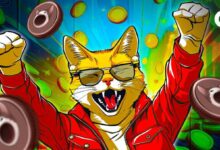 POPCAT supera a FLOKI, mira a BONK: ¿Aumento de la moneda meme de gatos pronto? ¡Descúbrelo! - Cripto Boom