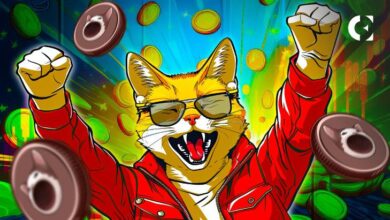 POPCAT supera a FLOKI, mira a BONK: ¿Aumento de la moneda meme de gatos pronto? ¡Descúbrelo! - Cripto Boom