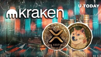 XRP y DOGE entre los Nuevos Activos de Garantía de Margen en Kraken ¡Descúbrelos! - Cripto Boom