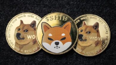 ¿DOGE o SHIB? Descubre cuál es la mejor inversión para 2025 según ChatGPT-4 - Cripto Boom