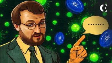 Cardano Rechaza RFP en Wyoming: Un Revés Importante, Según Charles Hoskinson - Descubre Más - Cripto Boom