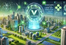 VeChain en el Foco de Estudio Académico: Descubre el Impacto del Blockchain en la Reducción de Carbono en el E-Commerce - Cripto Boom