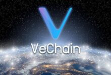 VeChain demuestra el potencial del blockchain en el mundo real con su alianza con el Hospital Renji - Descubre cómo transforman la sanidad - Cripto Boom