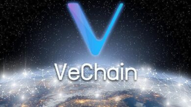 VeChain demuestra el potencial del blockchain en el mundo real con su alianza con el Hospital Renji - Descubre cómo transforman la sanidad - Cripto Boom