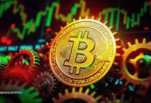 ¿Está el Aumento de Demanda Post-Halving Impulsando el Histórico Ascenso de Bitcoin? Descúbrelo Ahora - Cripto Boom