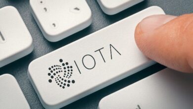 IOTA Renueva su Visión con la Transición "IOTA Rebased" – ¡Descubre su Impacto para Desarrolladores y Poseedores de Tokens! - Cripto Boom