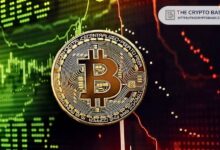 Bitcoin Apunta a $104K: Señales de Crecimiento del MVRV - Cripto Boom